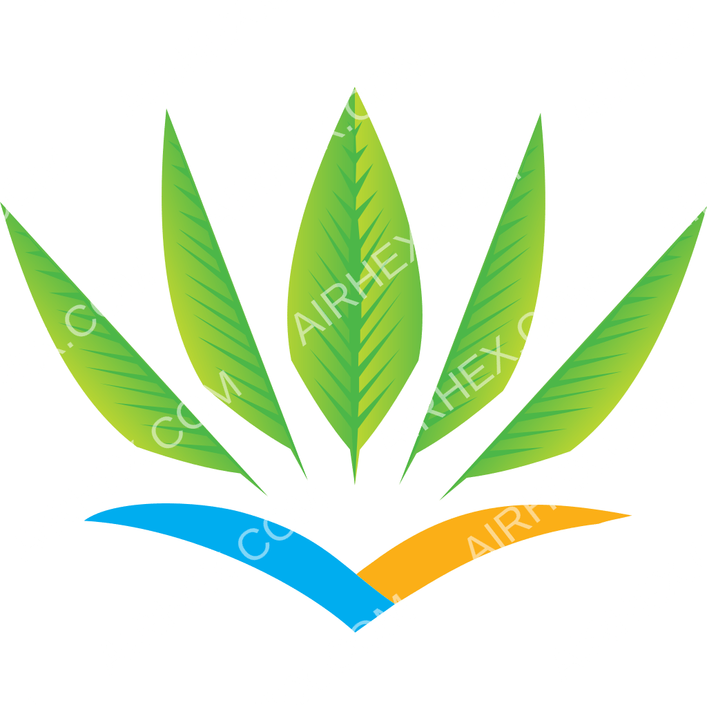 Air Caraibes logo (updated 2025) - Airhex