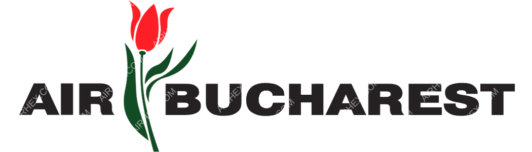 Air Bucharest logo with name