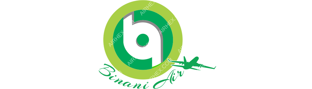 Binani Air logo with name