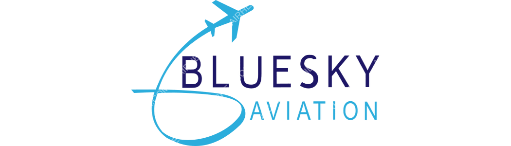 Blue Sky Aviation Services logo with name