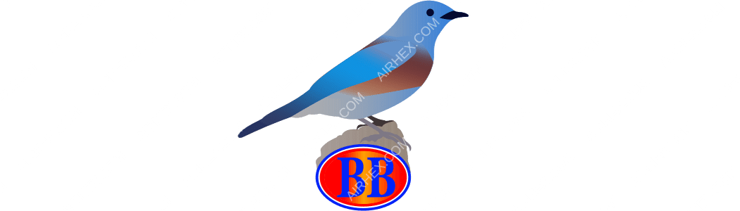 Bluebird Aviation logo with name