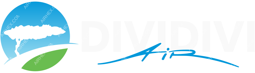Divi Divi Air logo with name dark