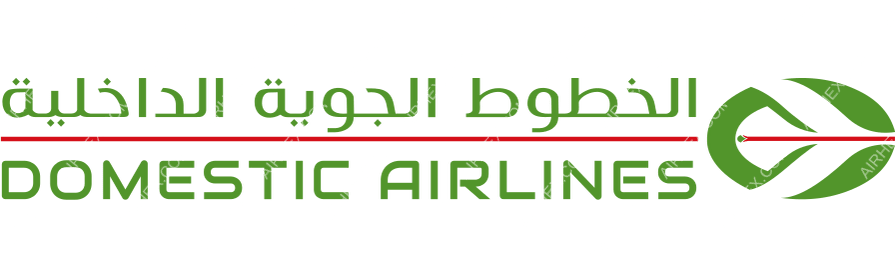 Domestic Airlines logo with name