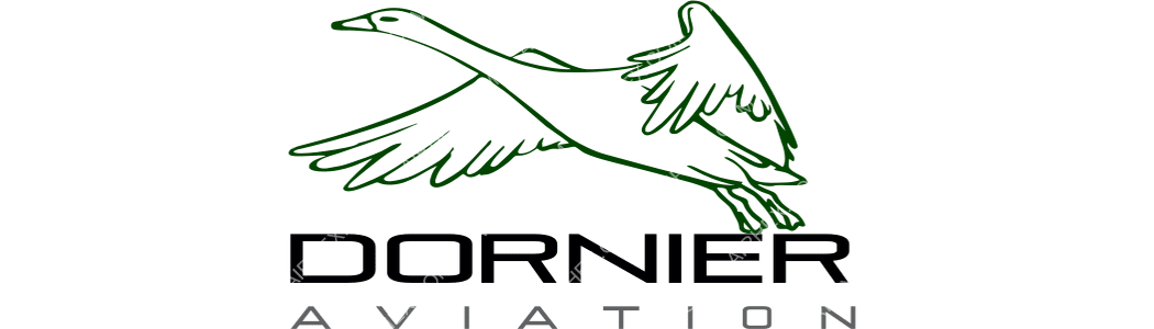 Dornier Aviation Nigeria AIEP logo with name