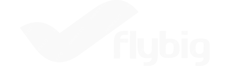 FlyBig logo with name dark
