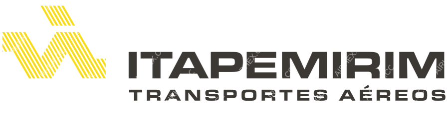 ITA Transportes Aéreos logo with name