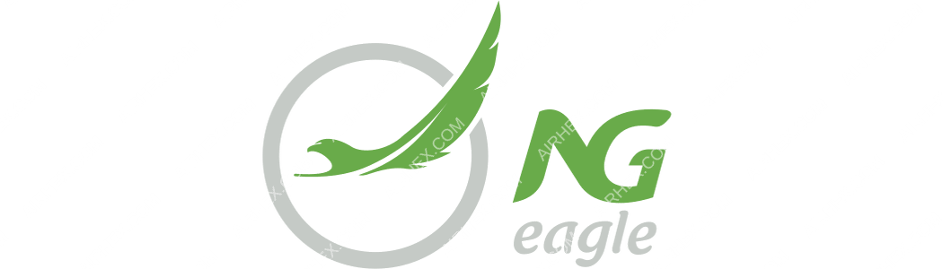 NG Eagle logo with name
