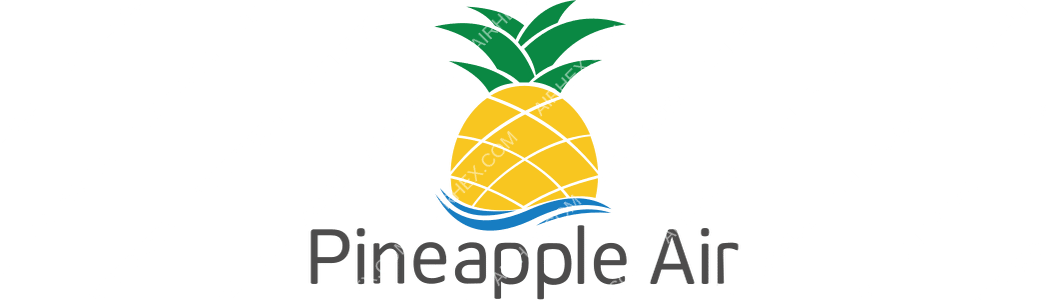Pineapple Air logo with name