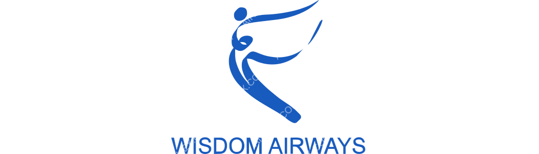 Wisdom Airways logo with name