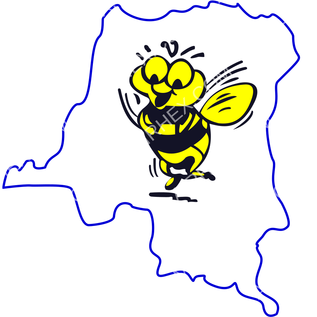 Busy Bee Congo logo Busy Bee Congo logo
