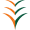 Ibom Air