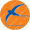 Kam Air