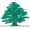 Middle East Airlines logo