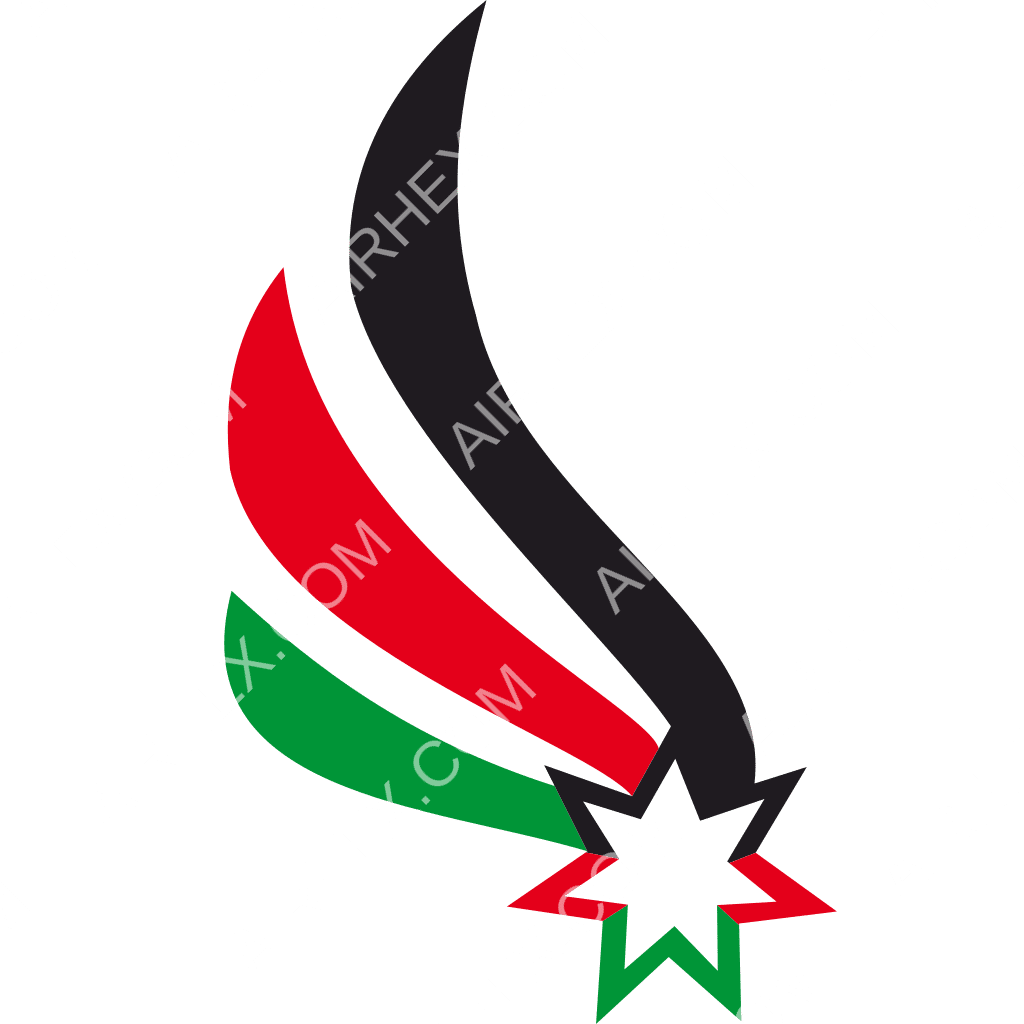 Fly Jordan logo
