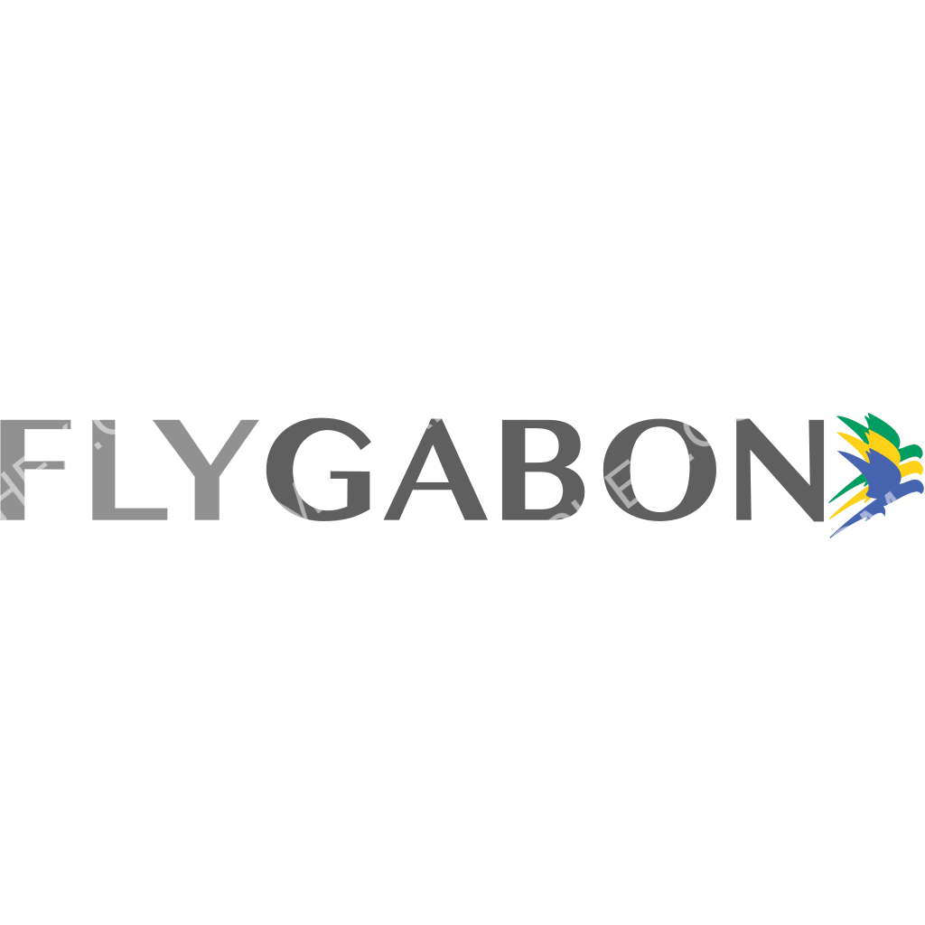 FlyGabon logo FlyGabon logo