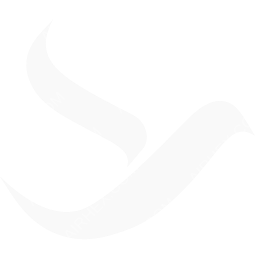 Freebird Airlines logo dark