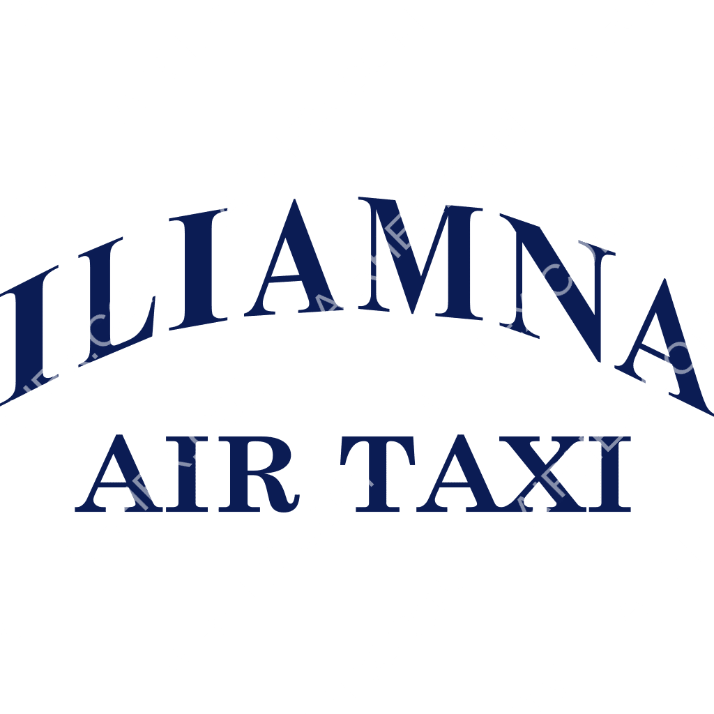 Iliamna Air Taxi logo