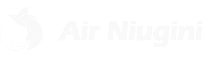 Air Niugini Air Niugini logo with name (dark)