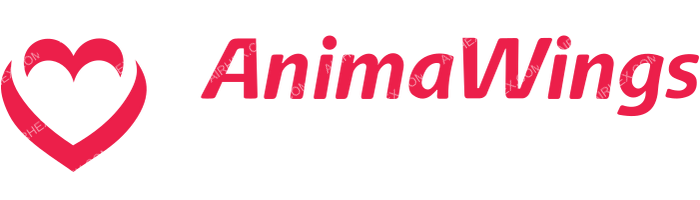 Animawings Animawings logo with name