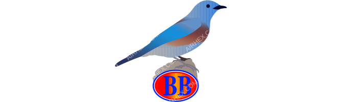 Bluebird Aviation Bluebird Aviation logo with name (dark)