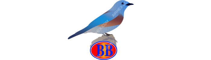 Bluebird Aviation Bluebird Aviation logo with name