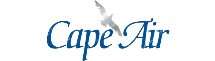 Cape Air Cape Air logo with name