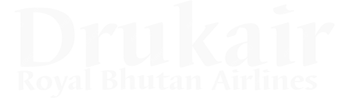 Drukair Drukair logo with name (dark)