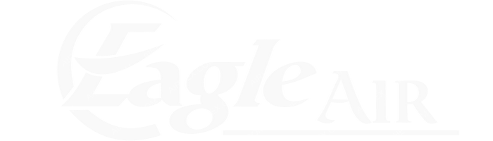 Eagle Air Eagle Air logo with name (dark)