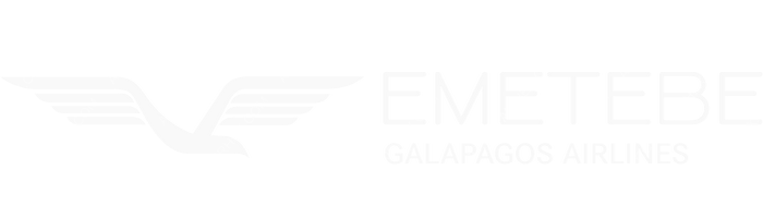 Emetebe Airlines Emetebe Airlines logo with name (dark)