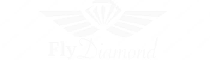 Fly Diamond Fly Diamond logo with name (dark)