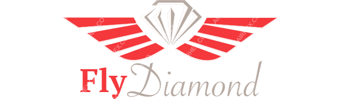 Fly Diamond Fly Diamond logo with name