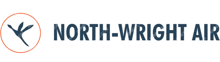 Fly Erbil Fly Erbil logo with name