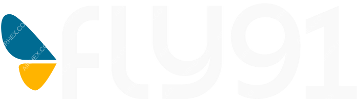 Fly91 Fly91 logo with name (dark)