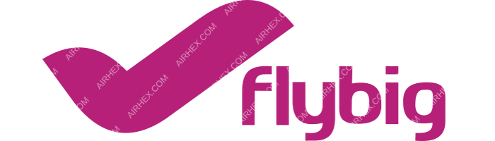 FlyBig FlyBig logo with name