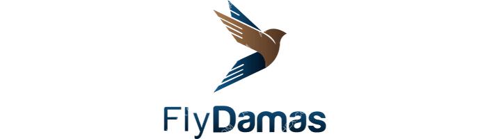 FlyDamas FlyDamas logo with name