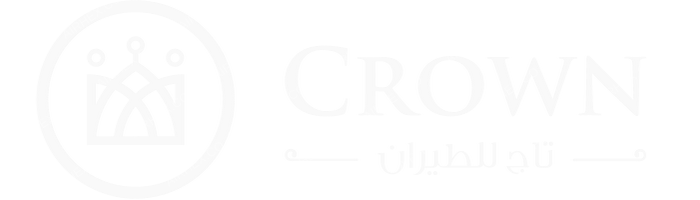 Flyest Lineas Aereas Flyest Lineas Aereas logo with name (dark)