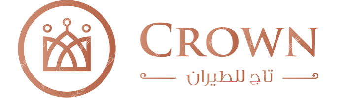 Flyest Lineas Aereas Flyest Lineas Aereas logo with name