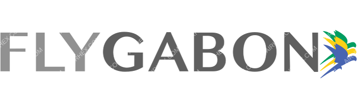 FlyGabon FlyGabon logo with name