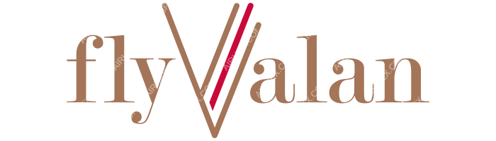 flyValan flyValan logo with name (dark)