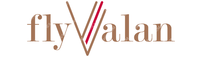 flyValan flyValan logo with name