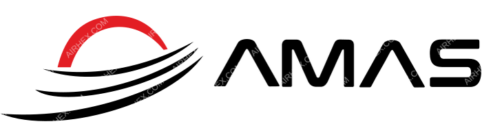 NELLA Linhas Aéreas NELLA Linhas Aéreas logo with name