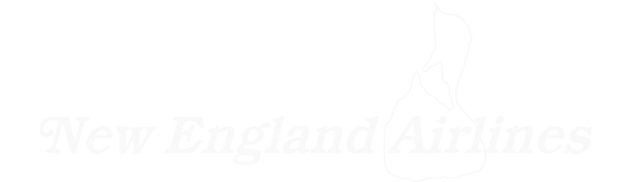 New England Airlines New England Airlines logo with name (dark)