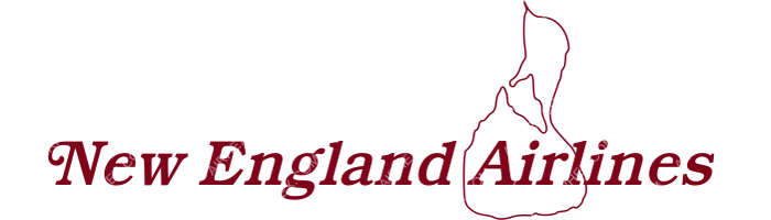 New England Airlines New England Airlines logo with name