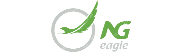 NG Eagle NG Eagle logo with name