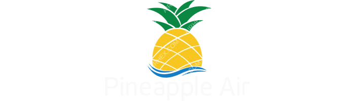 Pineapple Air Pineapple Air logo with name (dark)