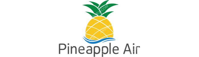Pineapple Air Pineapple Air logo with name