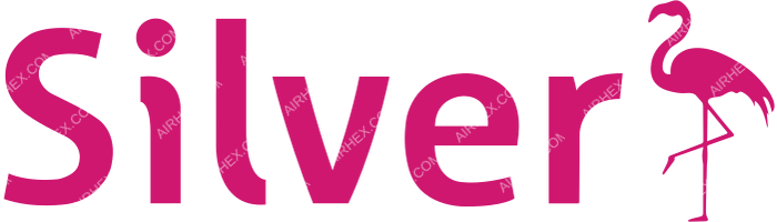 Silver Airways Silver Airways logo with name (dark)