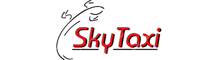 SkyTaxi SkyTaxi logo with name