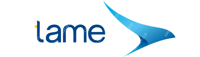 TAME TAME logo with name