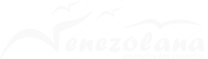 Venezolana Venezolana logo with name (dark)